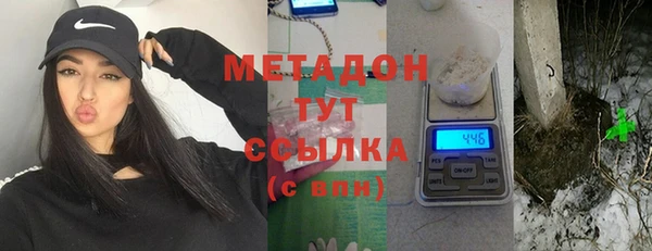 прущие грибы Баксан