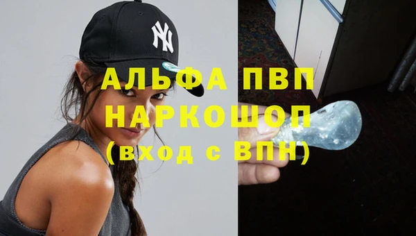 прущие грибы Баксан