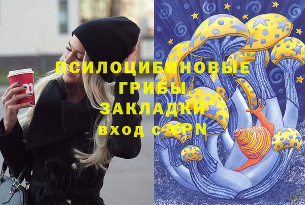 гашик Балахна
