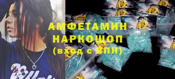 прущие грибы Баксан