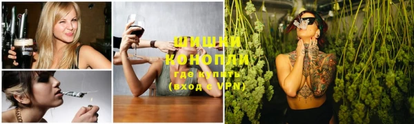 прущие грибы Баксан